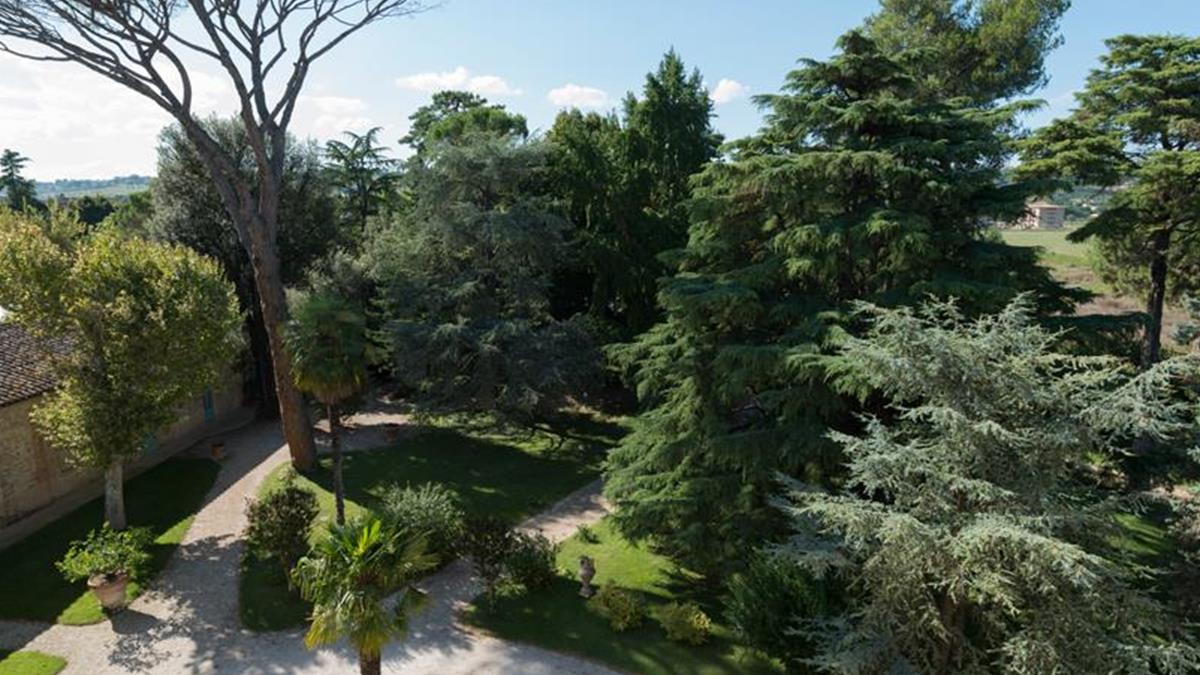 Scorcio Parco secolare